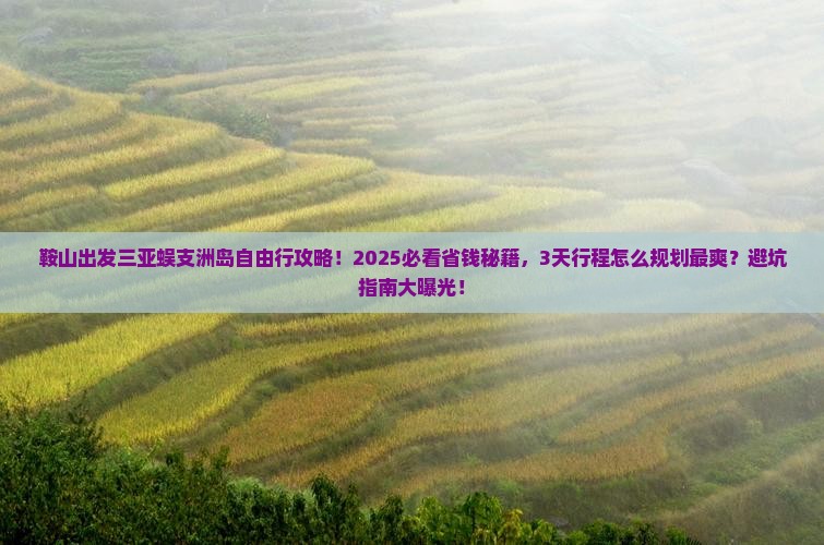 鞍山出发三亚蜈支洲岛自由行