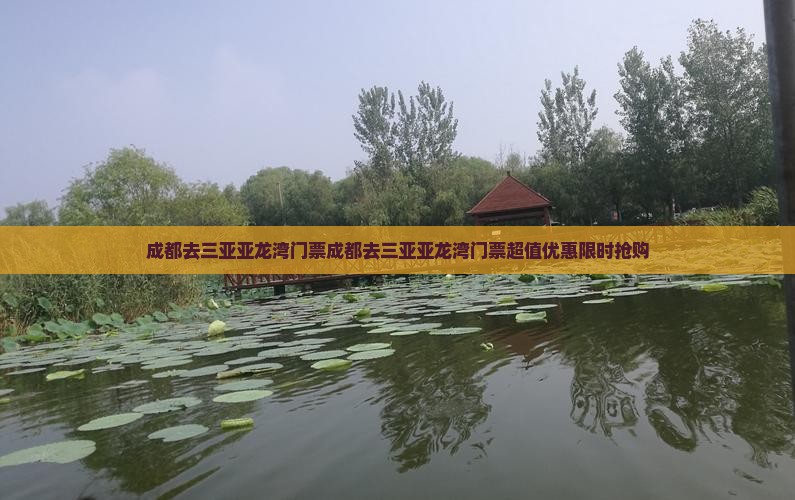 成都去三亚亚龙湾门票