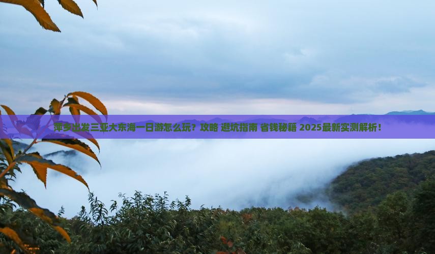 萍乡出发三亚大东海一日游 萍乡出发三亚大东海一日游