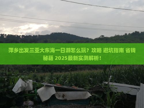 萍乡出发三亚大东海一日游 萍乡出发三亚大东海一日游