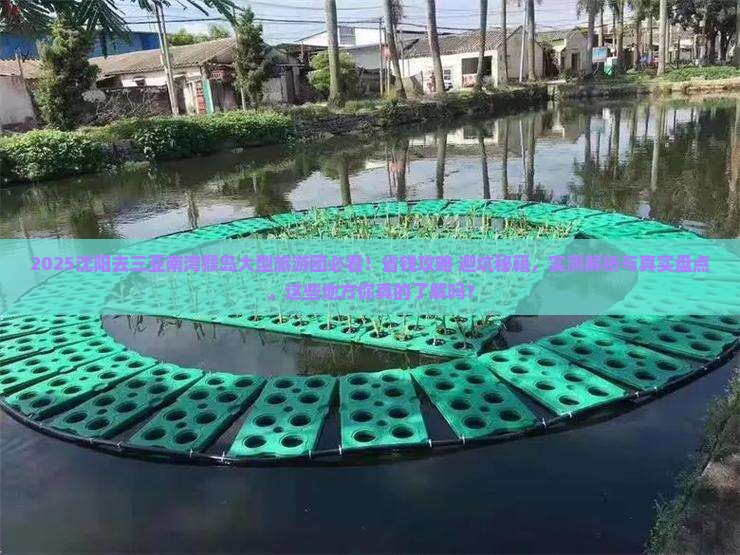 沈阳去三亚南湾猴岛大型旅游团