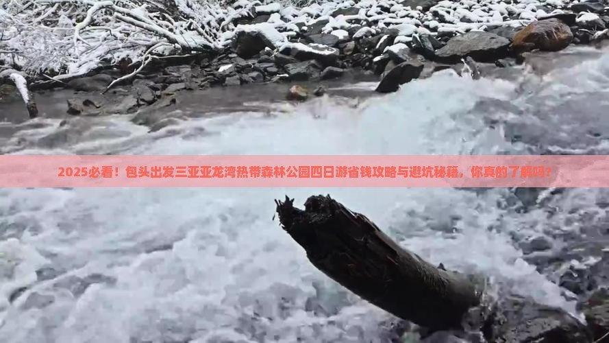 包头出发三亚亚龙湾热带森林公园四日游