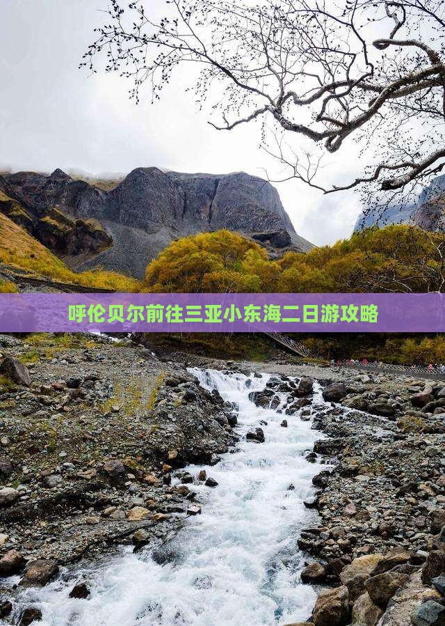 呼伦贝尔前往三亚小东海二日游
