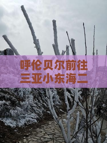 呼伦贝尔前往三亚小东海二日游