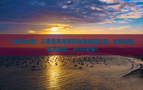七台河去三亚亚龙湾国际玫瑰谷四日游