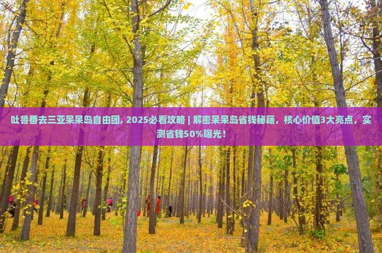 吐鲁番去三亚呆呆岛自由团