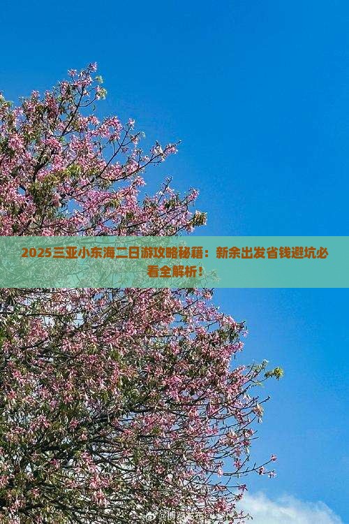 新余前往三亚小东海二日游