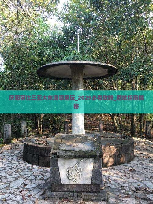 庆阳前往三亚大东海哪里玩