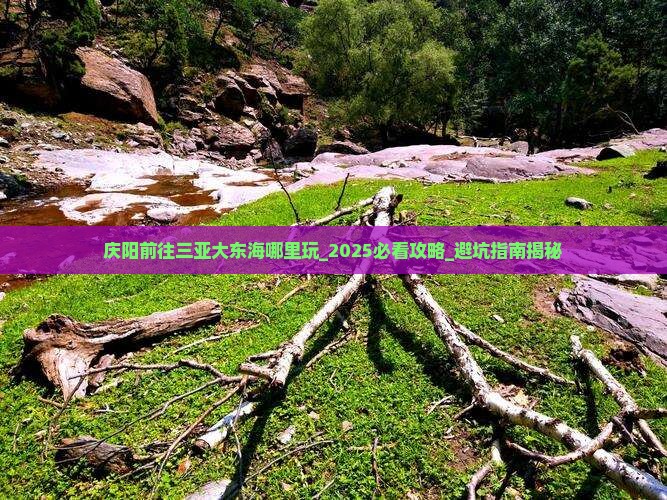 庆阳前往三亚大东海哪里玩