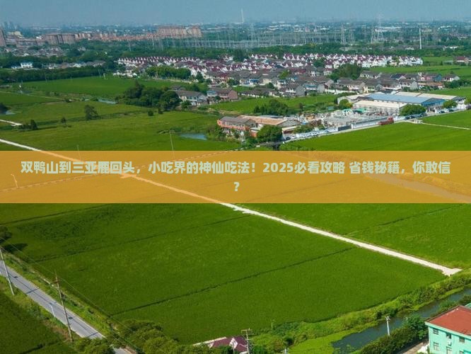双鸭山去三亚鹿回头旅游小吃