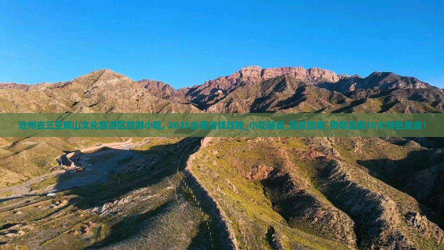 沧州去三亚南山文化旅游区旅游小吃
