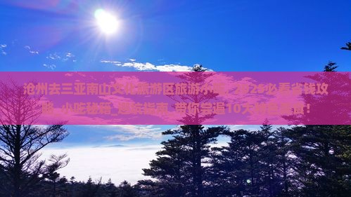 沧州去三亚南山文化旅游区旅游小吃