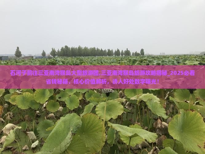 石河子前往三亚南湾猴岛大型旅游团