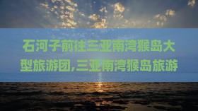 石河子前往三亚南湾猴岛大型旅游团