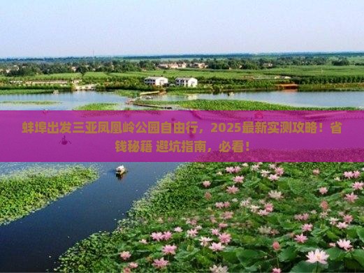 蚌埠出发三亚凤凰岭公园自由行