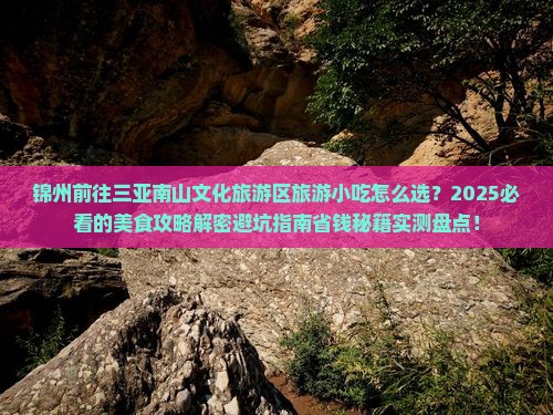 锦州前往三亚南山文化旅游区旅游小吃