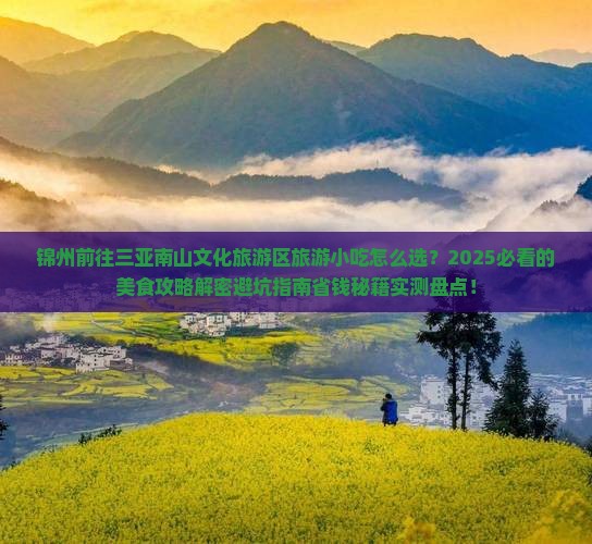 锦州前往三亚南山文化旅游区旅游小吃
