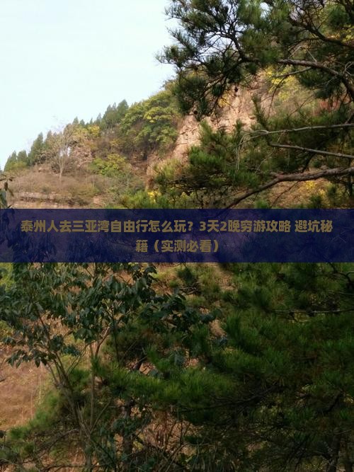 泰州去三亚三亚湾个人游
