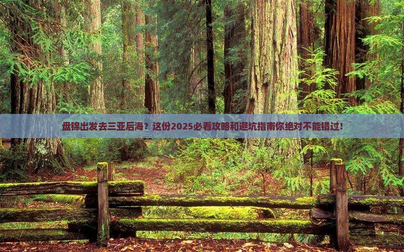 盘锦出发三亚后海旅行社