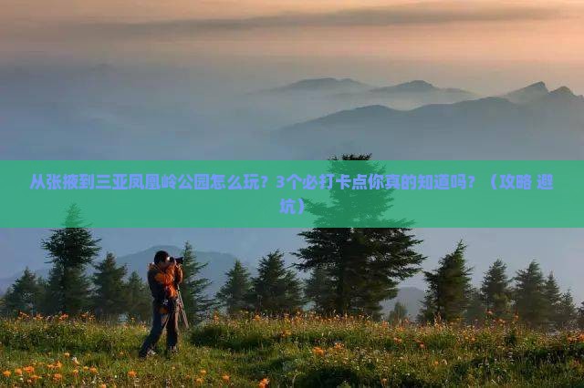张掖去三亚凤凰岭公园旅游打卡点