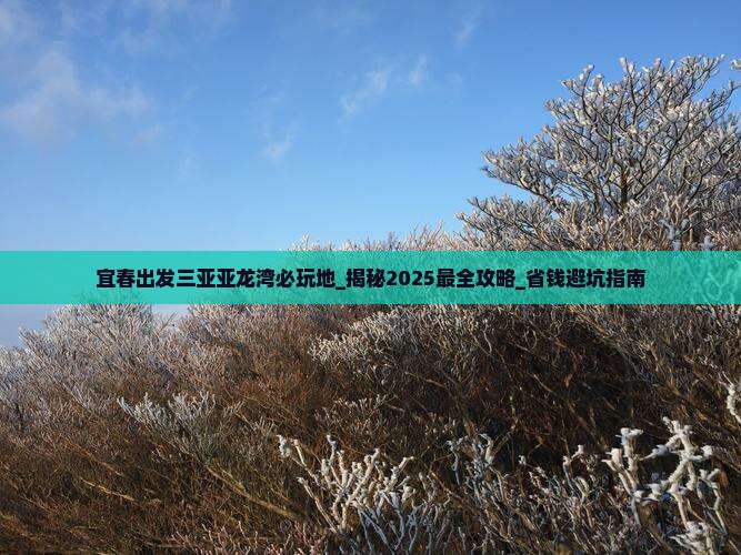 宜春出发三亚亚龙湾必玩地