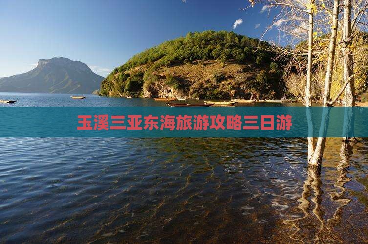 玉溪去三亚小东海三日游