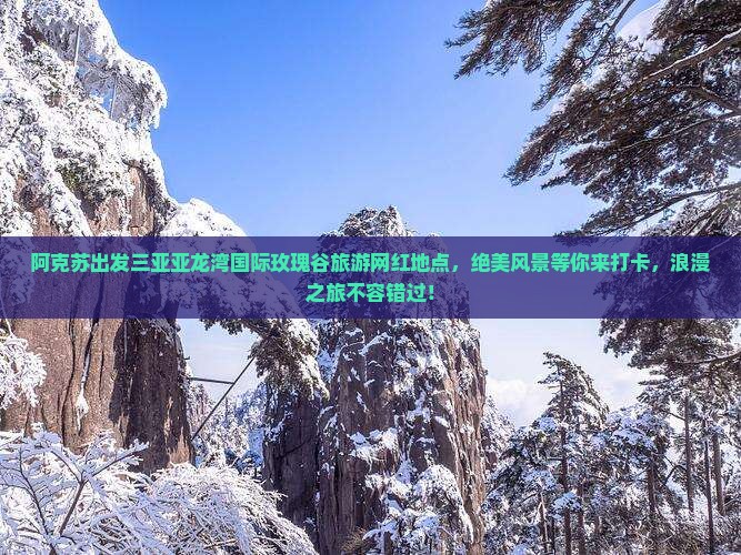 阿克苏出发三亚亚龙湾国际玫瑰谷旅游网红地点