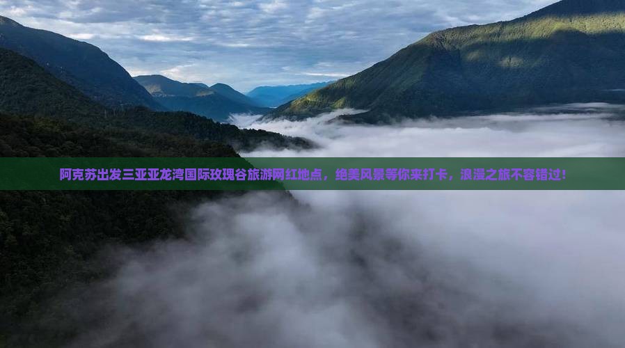 阿克苏出发三亚亚龙湾国际玫瑰谷旅游网红地点