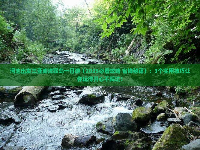 河池出发三亚南湾猴岛一日游