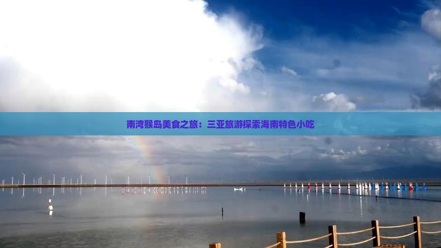 大连去三亚南湾猴岛旅游小吃