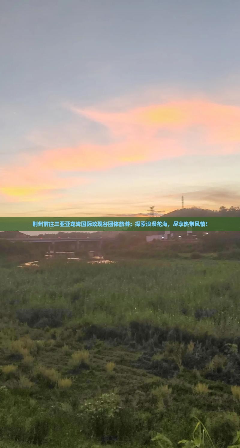 荆州前往三亚亚龙湾国际玫瑰谷团体旅游