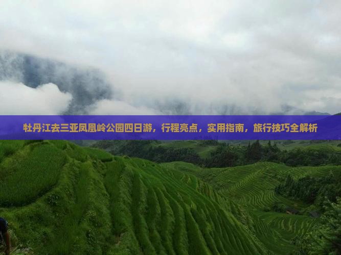 牡丹江去三亚凤凰岭公园四日游