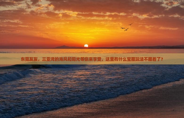 东莞前往三亚三亚湾哪里玩
