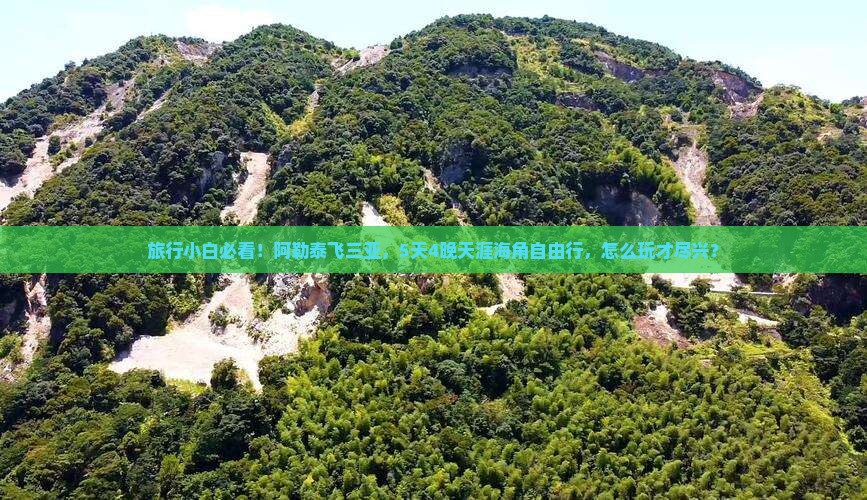 阿勒泰出发三亚天涯海角自由团