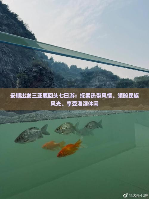 安顺出发三亚鹿回头七日游