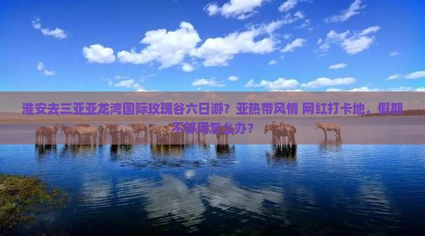 淮安去三亚亚龙湾国际玫瑰谷六日游
