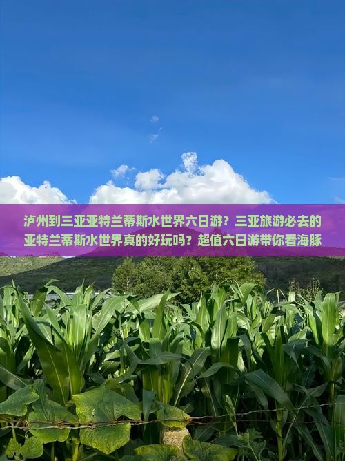 泸州前往三亚亚特兰蒂斯水世界六日游