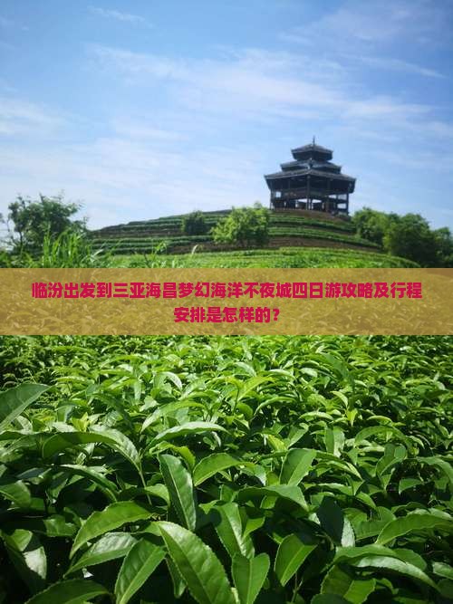 临汾前往三亚海昌梦幻海洋不夜城四日游