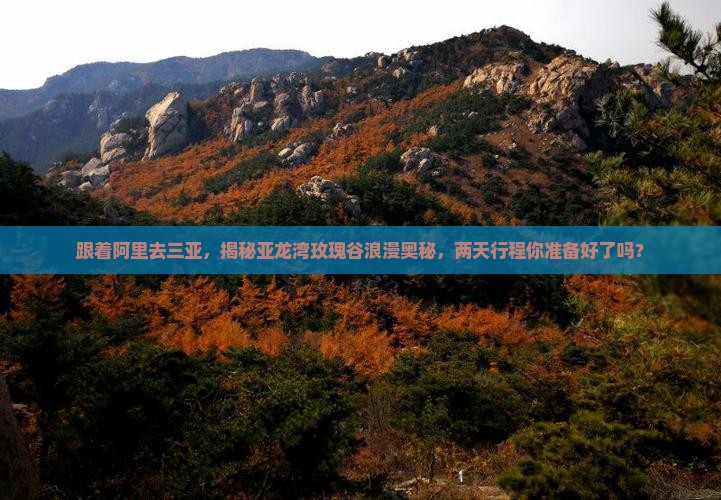 阿里出发三亚亚龙湾国际玫瑰谷二日游