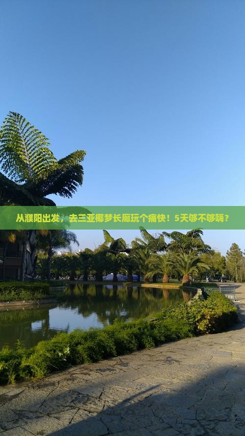 濮阳去三亚椰梦长廊五日游