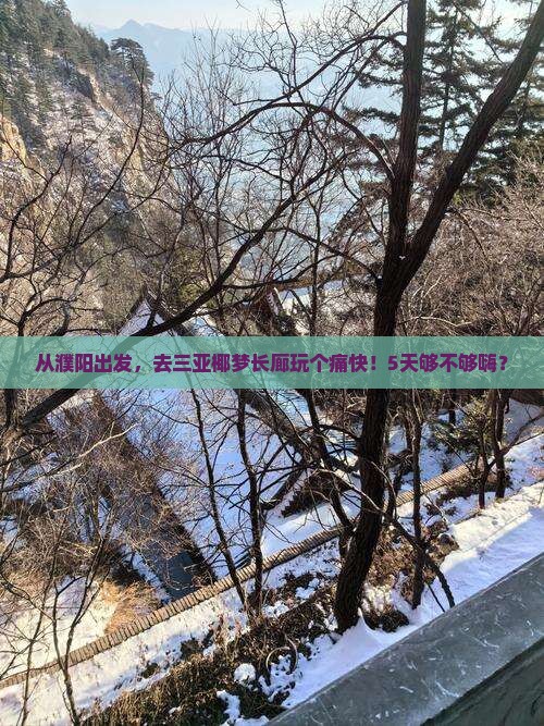 濮阳去三亚椰梦长廊五日游