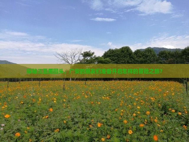 广安去三亚鹿回头大型旅游团