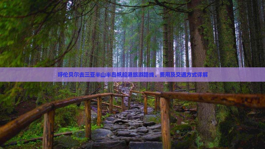 呼伦贝尔去三亚半山半岛帆船港旅游