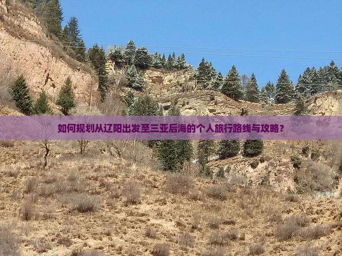 辽阳前往三亚后海个人游