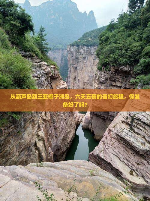 葫芦岛出发三亚椰子洲岛六日游