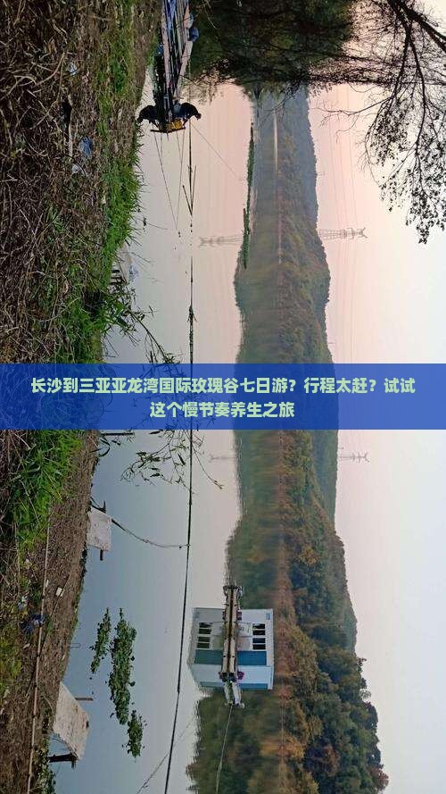 长沙去三亚亚龙湾国际玫瑰谷七日游
