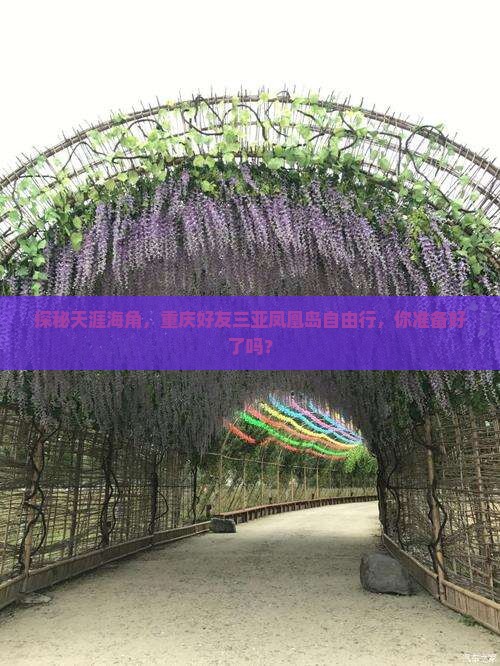 重庆前往三亚凤凰岛自由团