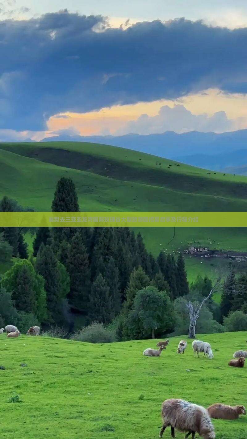 襄樊去三亚亚龙湾国际玫瑰谷大型旅游团