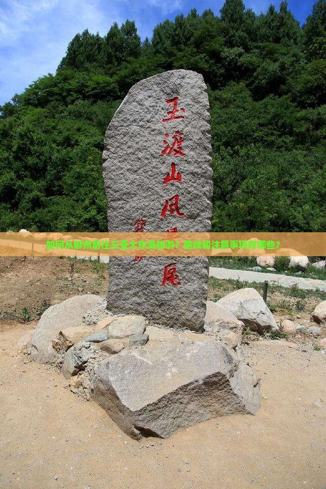 柳州前往三亚大东海旅游