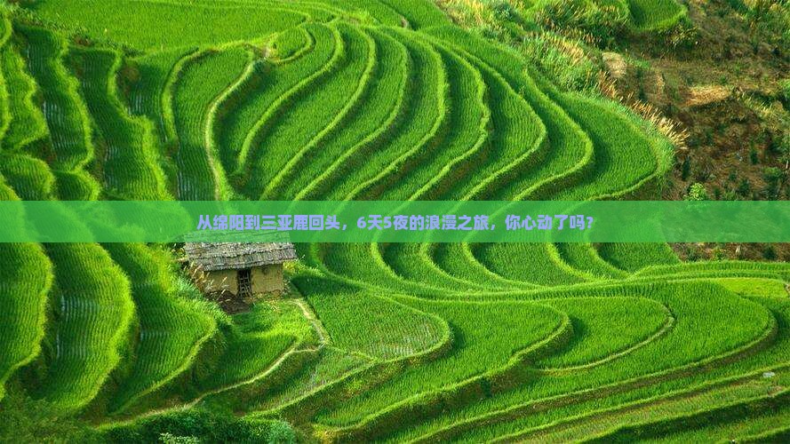 绵阳出发三亚鹿回头六日游